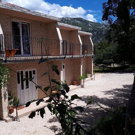 Amanda C Apartment Starigrad Paklenica Bagian luar foto
