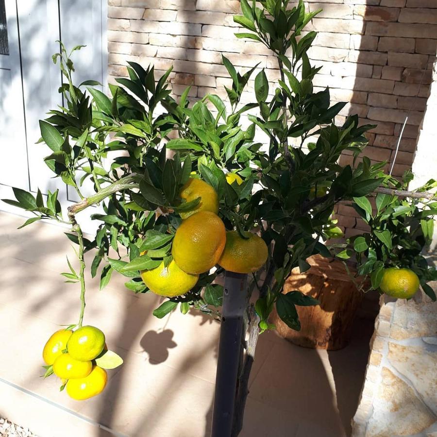 Amanda C Apartment Starigrad Paklenica Bagian luar foto